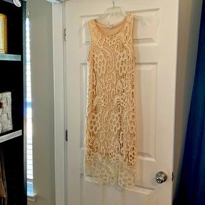 charming charlie embroidered dress.